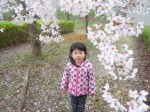 2016_0408桜